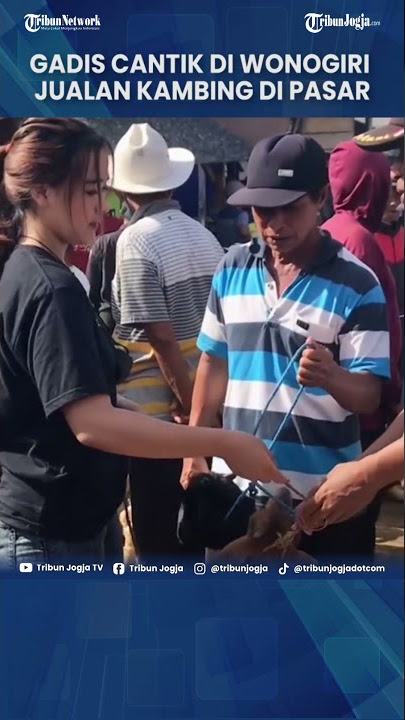 GADIS CANTIK DI WONOGIRI JUALAN KAMBING DI PASAR, AWALNYA BUAT NGUSIR BOSAN KULIAH DARING