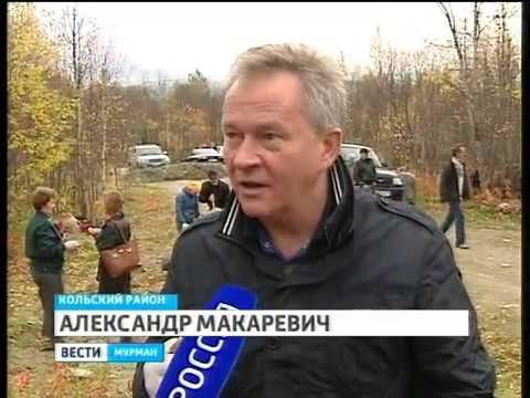 Дань памяти. В Мурманской области продолжают высаживать