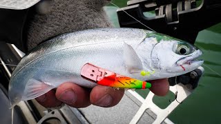This TROUT LURE Smashes FISH! How To RIG & Troll For TROUT.
