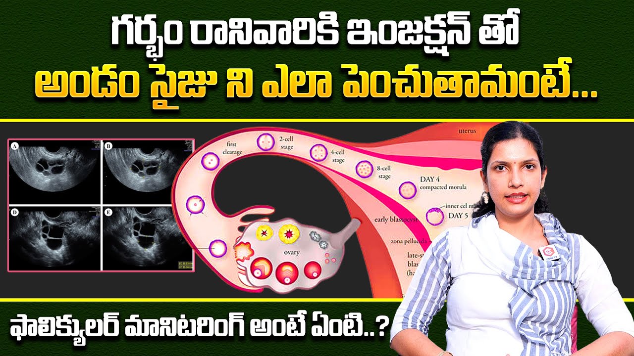 Как увеличить размер яйцеклеток, если не получается забеременеть