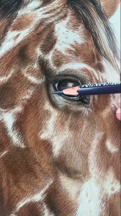 Incredible Appaloosa Horse / Невероятная пятнистая лошадь чубарой масти ...