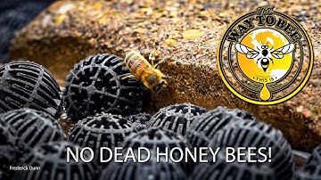 Honey Bee Feeders and Drinkers that will not let them drown. Feeding Bees safely. Bio-Balls