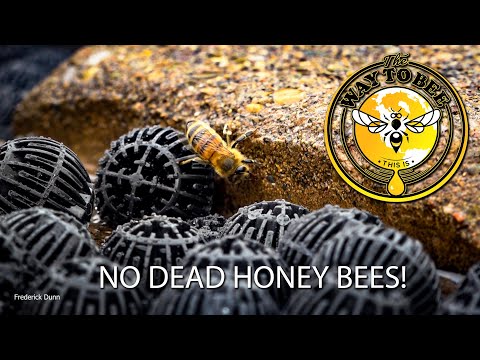 Honey Bee Feeders and Drinkers that will not let them drown. Feeding Bees safely.