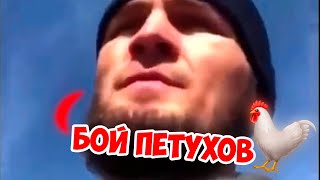 ХАБИБ ЖЕСТКО О БОЕ ГЭТЖИ  🔥🔥/БОЙ Джастин Гейджи