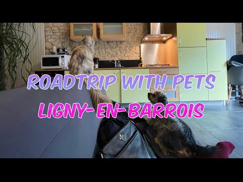 ROADTRIP with PETS to LIGNY-EN-BARROIS | Autumn Escapade 2021