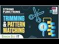 Learn SQL String Functions - Trimming and Pattern Matching