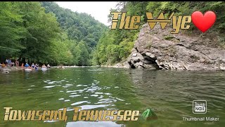 The Townsend Wye| Townsend Tennessee| Exploring and Playing| Great Smoky Mountains 2019