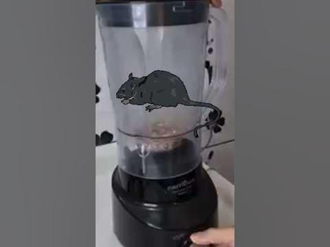 🐀 КРЫСИНЫЙ ЯД. Насыпьте немного этой смеси в местах появления грызунов ...