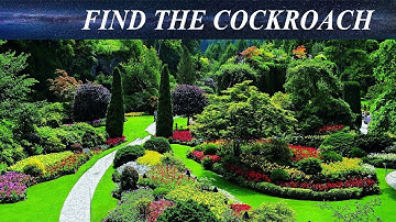 Can You Find The Hidden Objects | 99% Fail | Hardest Game | Brain Booster