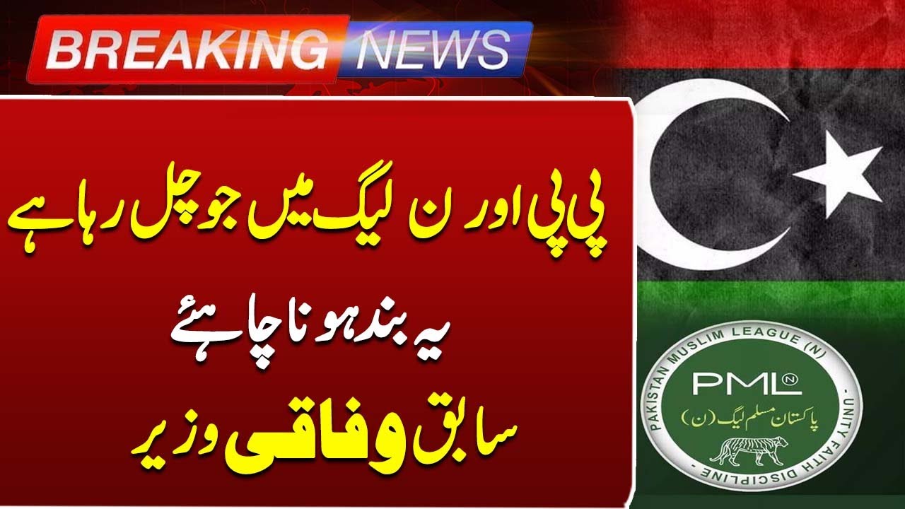 Former Federal Minister Urges PPP & PML-N to End Political Conflict | Such News | Breaking News