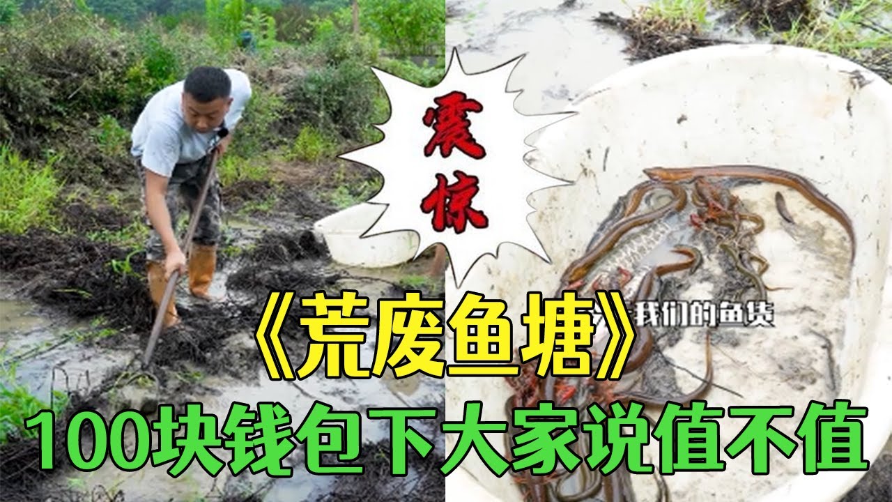 荒廢魚塘，100塊包下大家說值不值？#小飛哥#三農 #戶外 #農村生活 #我要上熱門