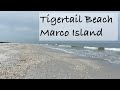 Virtual Beach Walk at Tigertail Beach Marco Island. Let's find some sand dollars, critters & shells!