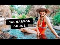 QUEENSLAND Travel Guide: Carnarvon Gorge | Little Grey Box