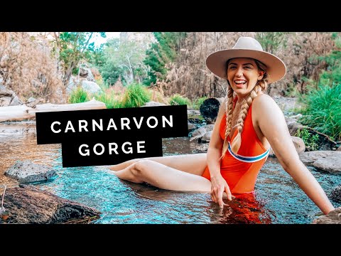 QUEENSLAND Travel Guide: Carnarvon Gorge