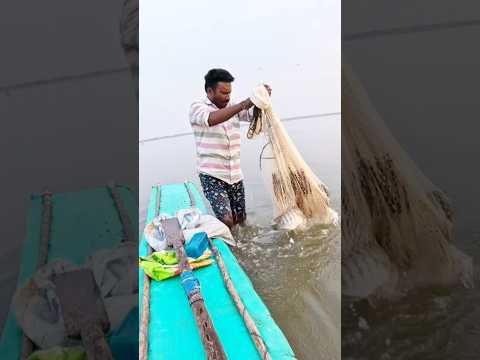 ఏని చేపలు