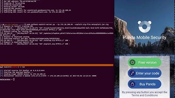 Exploiting Vulnerable Pandas