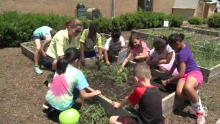 Oak Hill ES Teaching Garden