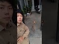 #shortsvideo #shortsfeed