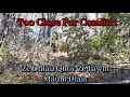 Close Encounter With A Sow & Cubs | Maum Dlais Coj Miv Nyuas Lug Ze Le Ze