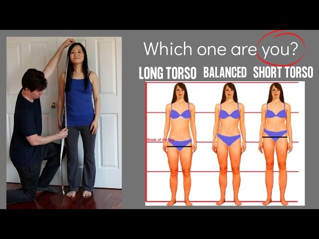 Body proportions  Short torso outfits, Body proportions, Petite fashion