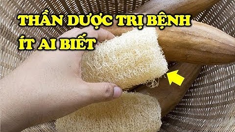 Xơ mướp – tưởng chừng là phế phẩm nhưng lại là “thần dược” | Cuộc Sống Hạnh Phúc