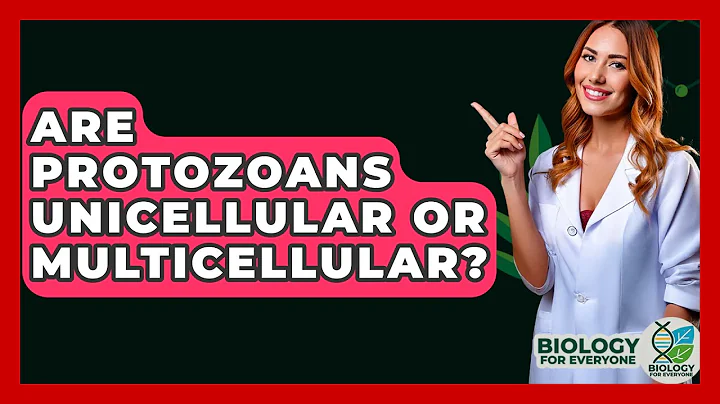 Are Protozoans Unicellular Or Multicellular? - Biology For Everyone
