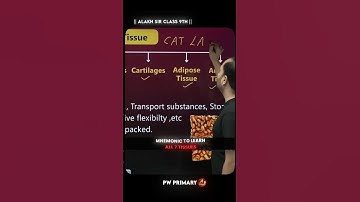 mnemonic to learn all 7 tissues 🔥 #alakhsir #physicswallah #alakhpandey #pw #cbseclass9 #cbsestudent