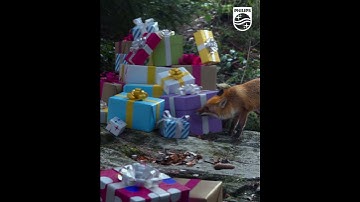 Gift Refurb Editions – Besser als Neu