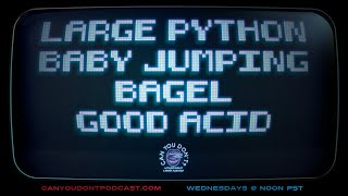 Can You Don't? | Large Python. Baby Jumping. Bagel. Good Acid.