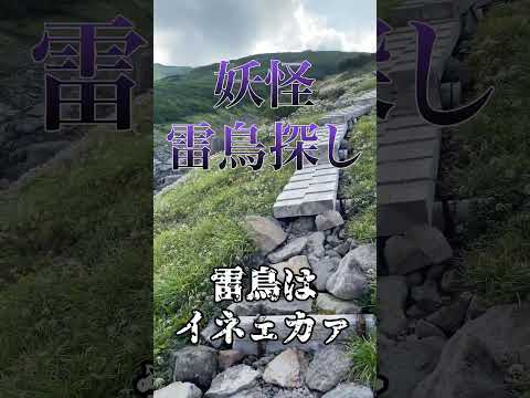 【立山・五色ヶ原】テント泊山行ダイジェスト♪