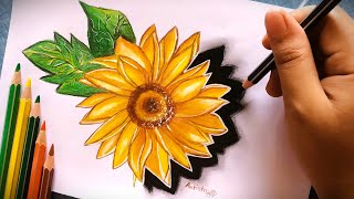 Color Pencil Sunflower Drawing Tutorial || Flower Painting || #art #flowers #sunflowerdrawing