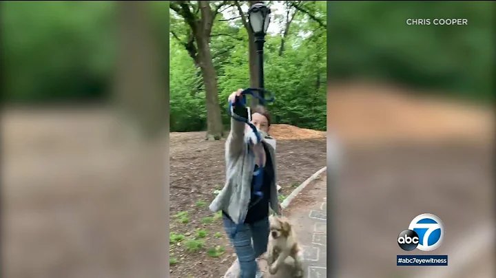 Central Park: White woman ID'ed as Amy Cooper in N...