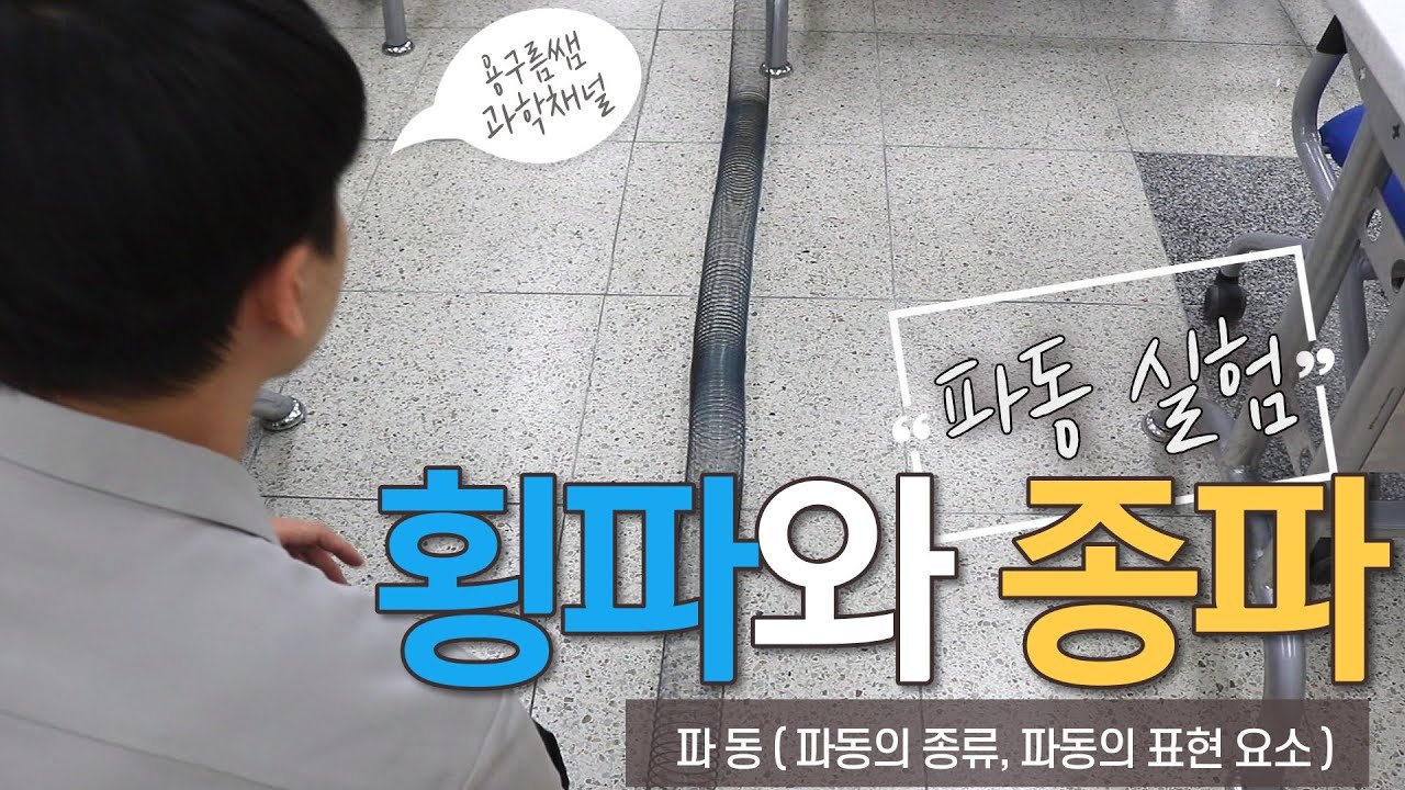 파동의 종류] 횡파와 종파에 대해 알아보자!/ 용수철 파동 실험/ 파동의 표현/ P파 S파/ - YouTube