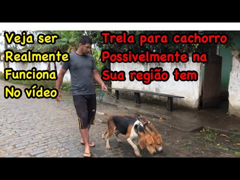 Vídeo: Como fazer uma trela? Trela de cachorro faça você mesmo