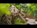 UGEARS｜三角龍｜免動力自走模型 木製模型 DIY 立體拼圖 烏克蘭 拼圖 組裝模型 3D拼圖 product youtube thumbnail