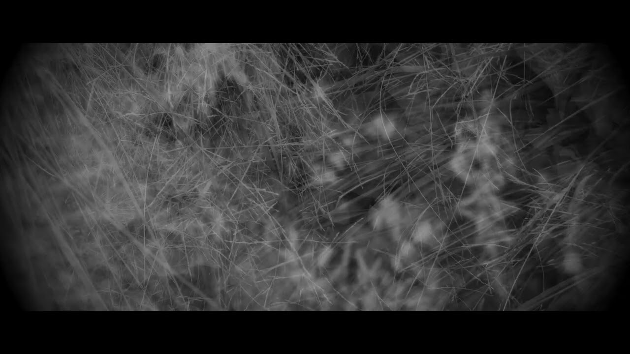 Annie Hogan - Safe Hands (Official Video) adlı videoyu YouTube'da izle Annie Hogan - Safe Hands (Official Video) adlı videoyu YouTube'da izle