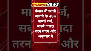 Breaking News: पंजाब में पराली जलाने के 484 मामले दर्ज, सबसे ज्यादा तरन तारन और अमृतसर में #tv100