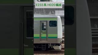 JR東日本 横浜線 E233系6000番台 H020編成 (海側・鉄道サイドビュー) 【JR EAST 2023.8 / TRAIN SCAN】