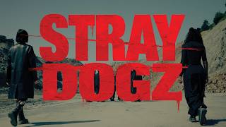 Download Lagu Lepers - Stray Dogz (Music Video)