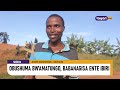 AGENSHONGA OBUSHUMA BW AMATUNGO BABANAGISA ENTE IBIRI SHEEMA 