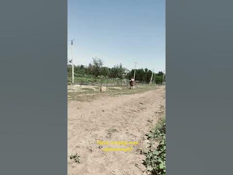 Люблю моменты общения с внуками! Жду с нетерпение встречи с детьми ...