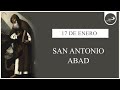 ORACIÓN A SAN ANTONIO, ABAD I | SANTO DEL DÍA 17 DE ENERO #shorts