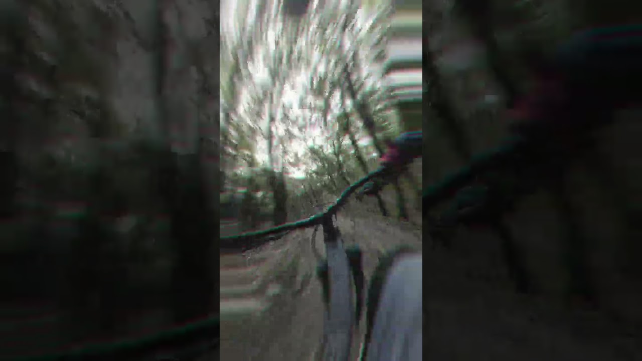 Trail de MTB Vaca Muerta - Bosque la primavera