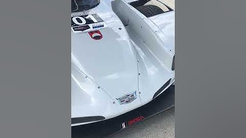 Renger Van Der Zande Kevin Magnussen Cadillac Dpi Winners Chip Ganassi Racing IMSA Racing Detroit