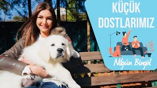 Yetenek Sizsiniz 2012 Birincisi Ali Yeşilırmak Ve Maxin Torunu Teo Ile Köpek Eğitimi Üzerine Sohbet