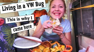 I'm Excited! This is why I came here + Failed Burritos | Cooking in the back of my VW Bug