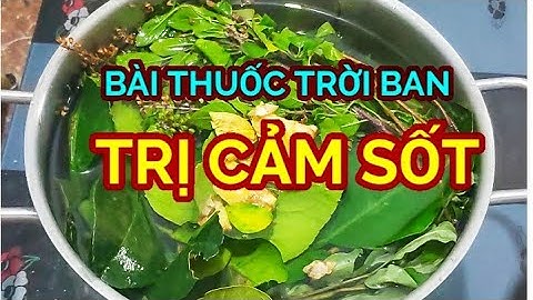Bài Thuốc Lá Xông:TRỊ CẢM, ĐAU ĐẦU, NÓNG NGOÀI RÉT TRONG..Tác dụng nhanh hơn thuốc và lưu ý khi xông