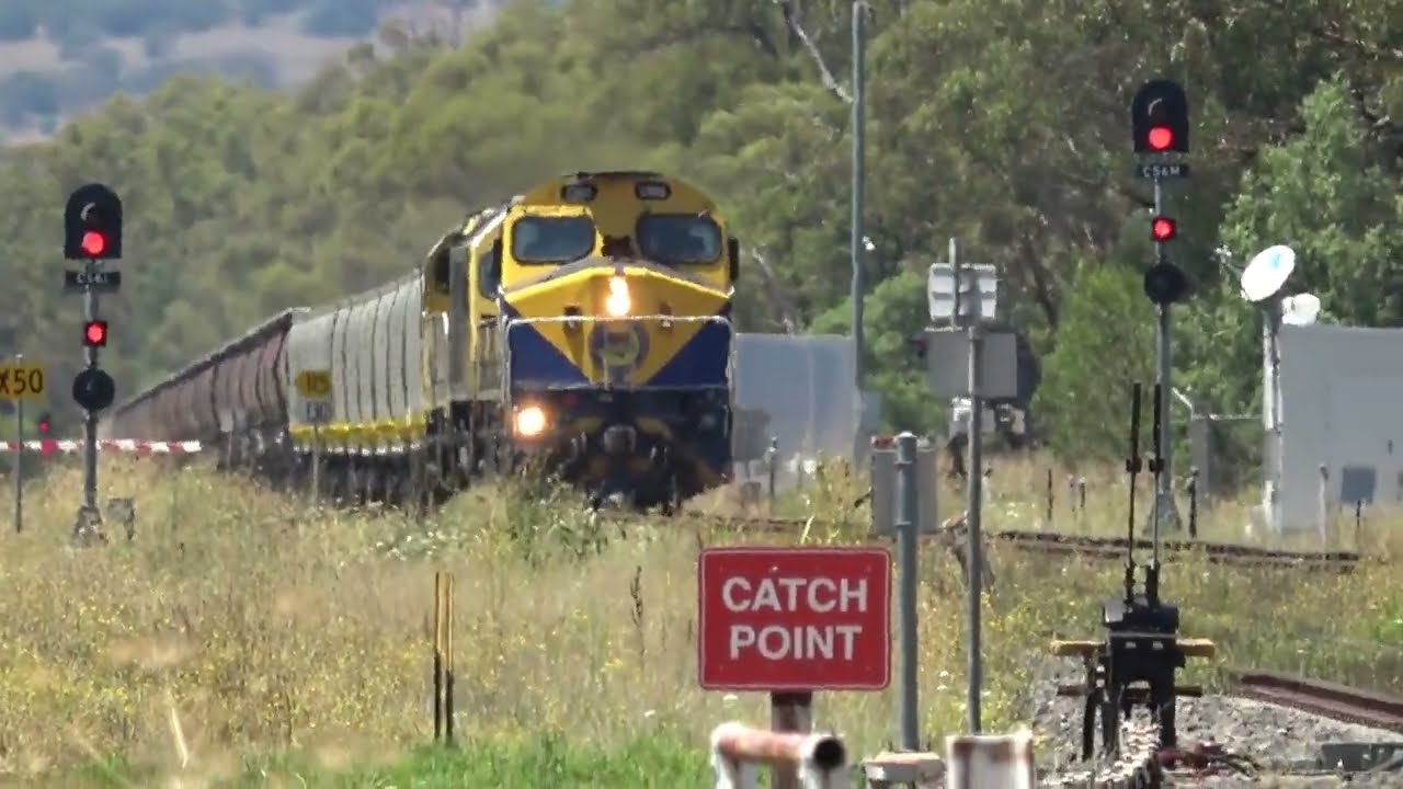 C502 RL304 and C505 SSR northbound grain train Curlewis