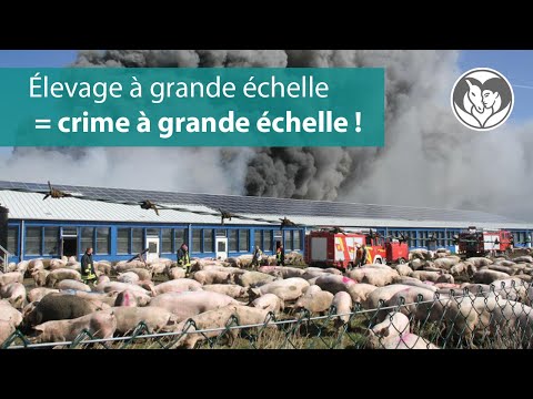 Les leçons durs d'une incendie.