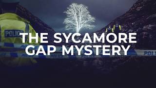 BRAND NEW 2-PART DOCUMENTARY : The Sycamore Gap Mystery | Channel 4 Trailer (20)